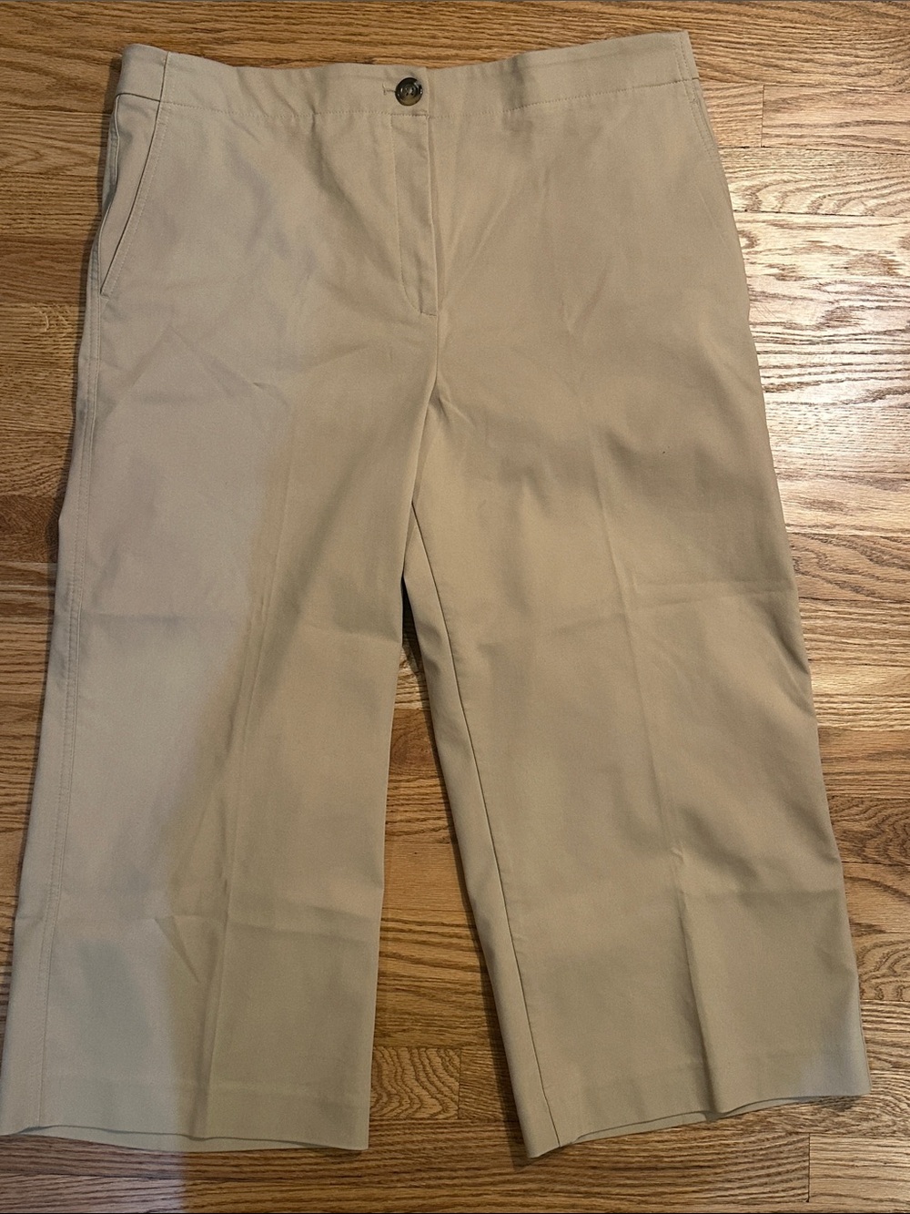 Ann Taylor Beige/Cream wide leg - Kate